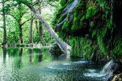 KRAUSE SPRINGS